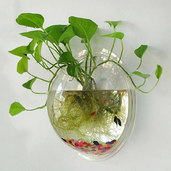 plant hanger for aquarium Aquarium Wall Plant Holder