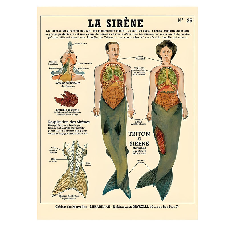 la sirene vintage poster boogzel apparel