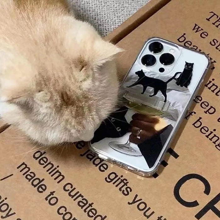 aesthetic cat iphone case boogzel apparel