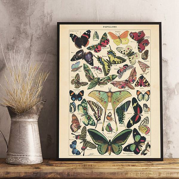 Papillons Vintage Poster