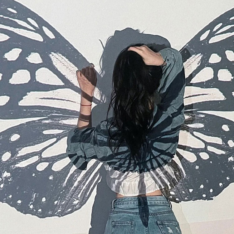 Fairycore Butterfly Wings Projector
