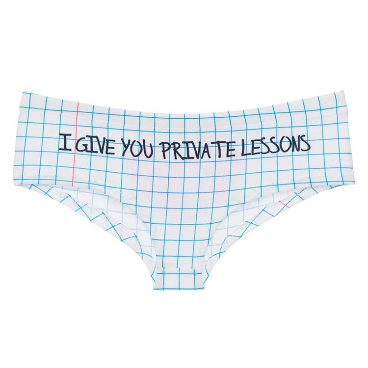 I GIVE YOU PRIVATE LESSONS panty - boogzel clothing - aesthetic underwear