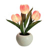 LED Tulip Table Lamp boogzel apparel