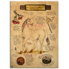 Magical Creatures Canvas Poster