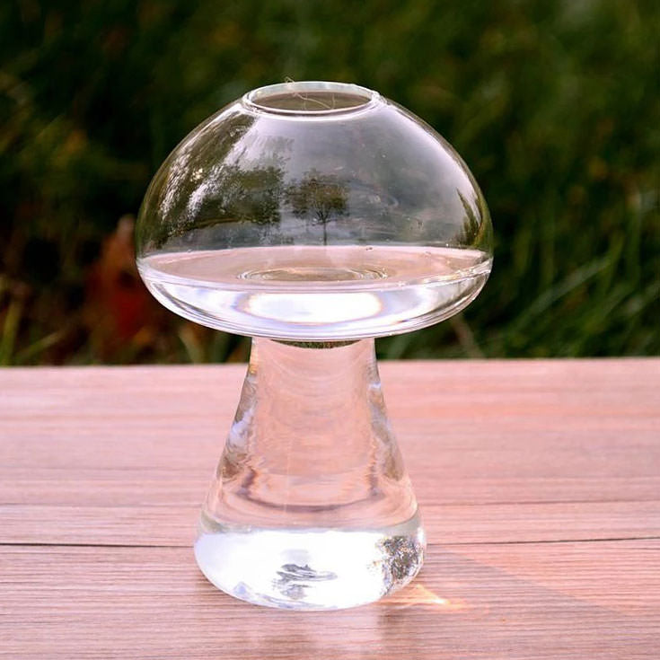 mushroom coctail glass vase boogzel apparel