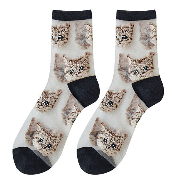 cat transparent socks boogzel apparel