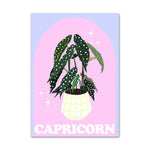 capricorn pastel poster boogzel apparel