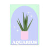 aquarius pastel poster boogzel apparel
