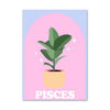 Pastel Zodiac Signs Canvas Poster