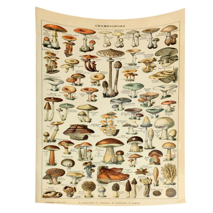 Vintage Aesthetic Mushrooms Wall Tapestry
