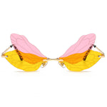 dragonfly sunglasses boogzel apparel