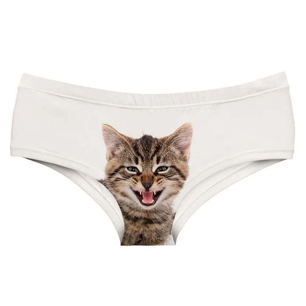 angry kitten panty boogzel clothing