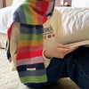 colorful striped scarf boogzel clothing