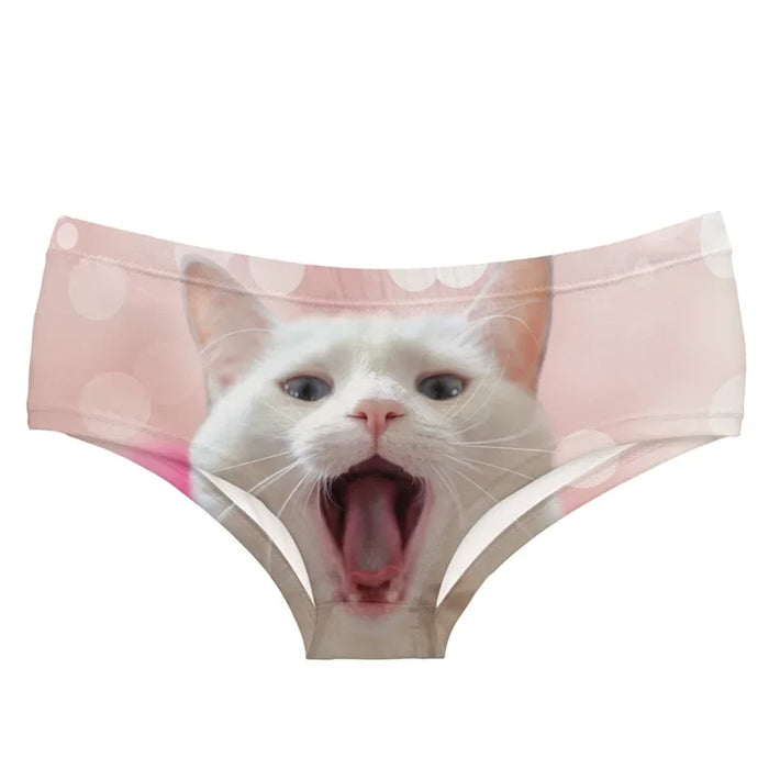 kitten panty boogzel clothing