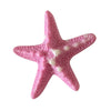 starfish mini hair clip boogzel clothing