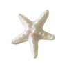 starfish mini hair clip boogzel clothing