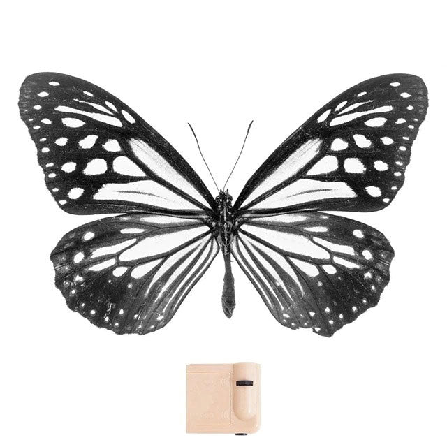 butterfly projector lamp boogzel apparel