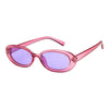 Buy Erin Oval Sunglasses at Boogzel Apparel Free Shipping Pink Purple