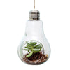 Light Bulb Hanging Vase boogel apparel