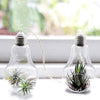 Light Bulb Hanging Vase